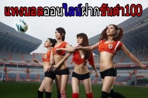 เว็บแทงบอลวอเลท